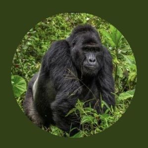 Meet your Posher, Willie